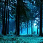 دانلود آهنگ ای یار من ای دلبر جانی زیبای کل مازندرانی